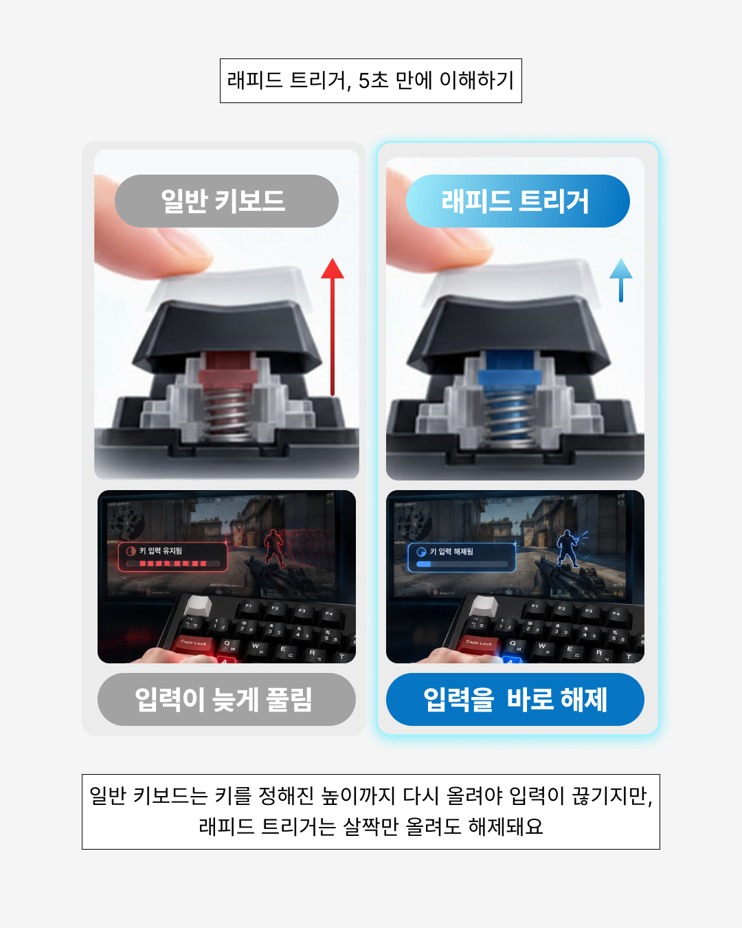 1793085169_6ae04ef1e2bb6.png
